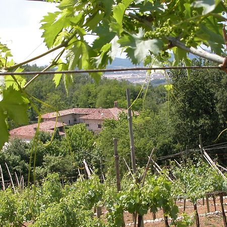 Agriturismo Ca' Verde SantʼAmbrogio di Valpolicella Exterior foto